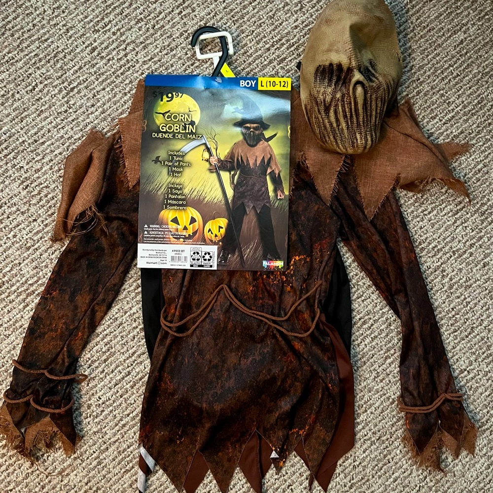 Boys Halloween costume. Size 10-12 comes with pants, tunic, face mask and hat
